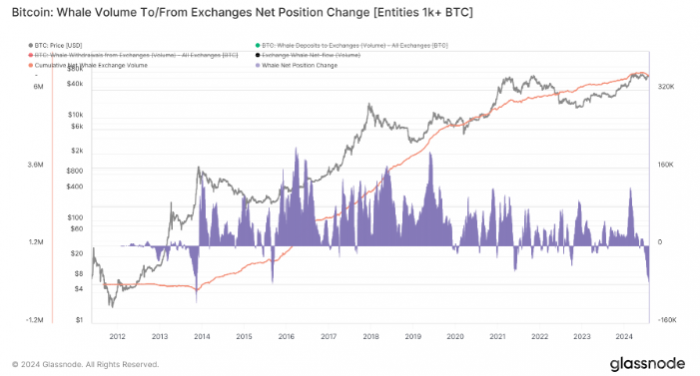 Bitcoin鯨魚交易量創9年新高，價格觸底跡象顯現圖片
