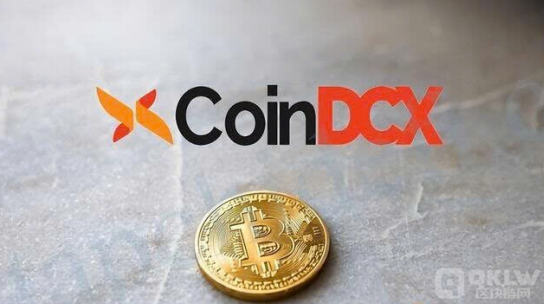 印度交易所CoinDCX推出600萬美元投資者保護基金 圖片