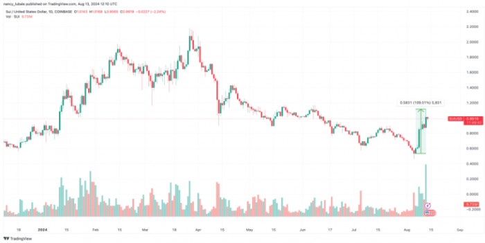 SUI、Zcash 和 Helium 本周表現亮眼，超越Bitcoin圖片
